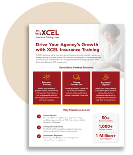 WHY XCEL OVERVIEW SELL SHEET