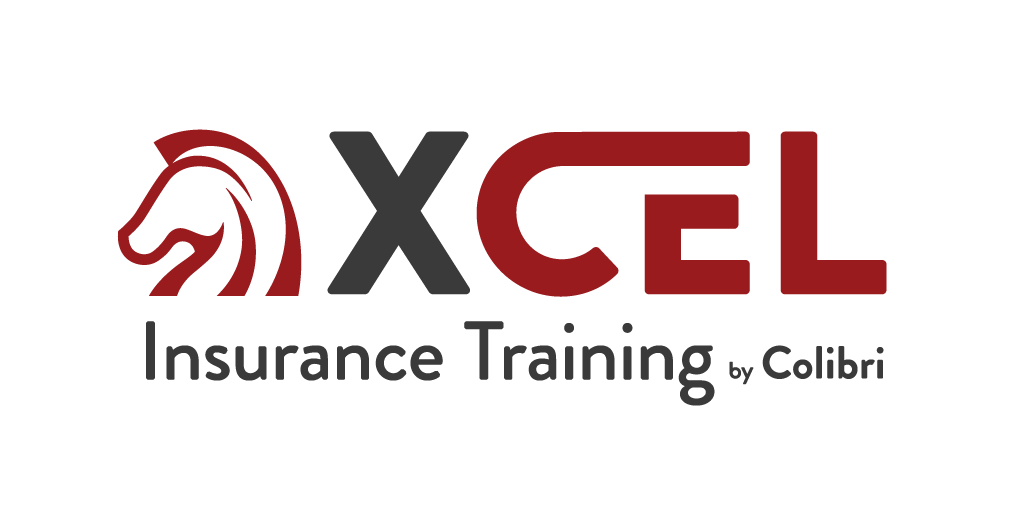 XCEL LOGO