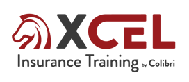 XCEL24_Logo_RGB_Color-1